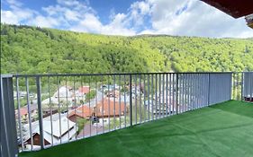 Apartament Panoramic View Sinaia