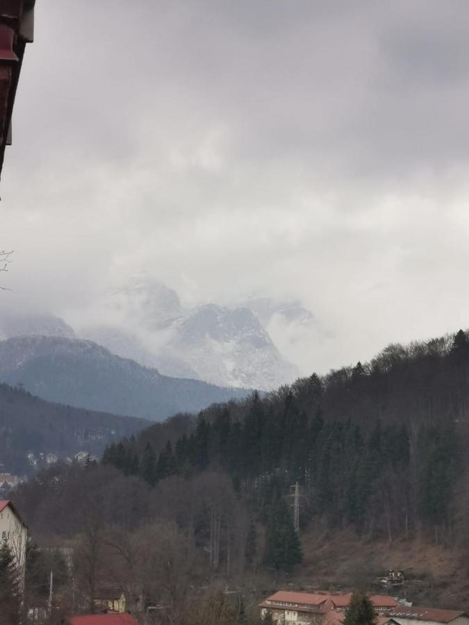 Apartament Panoramic View Sinaia Apartment Exterior foto